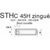 VIS STHC 45H ZINGUÉ BOUT CUVETTE DIN 916 ISO 4029 - www.esse.fr