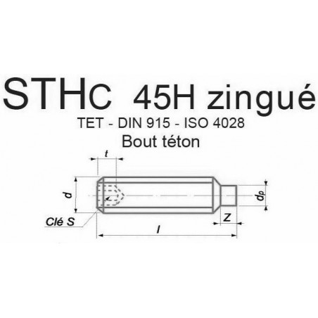 VIS STHC 45H ZINGUÉ BOUT TÉTON DIN 915 ISO 4028 - www.esse.fr