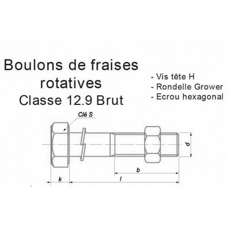 BOULON FRAISE ROTATIVE AGRICOLE 12.9 ACIER BRUT - www.esse.fr