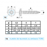 VIS DE PENTURE TORX 6 LOBES INTERNES ACIER ZINGUÉ NOIR - www.esse.fr