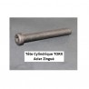 VIS TÊTE BASSE TORX CZX 8.8 BRUT OU ZINGUÉ 14580 25111 - www.esse.fr