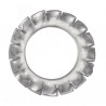 RONDELLE ÉVENTAIL INOX A2 DENTURE EXTÉRIEUR AZ DIN 6798 A